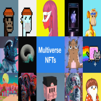 Step into the flourishing NFT sector by availing of the best multivers